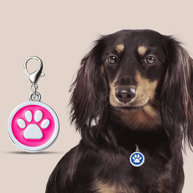 Customizable Dog Collar Address Tags